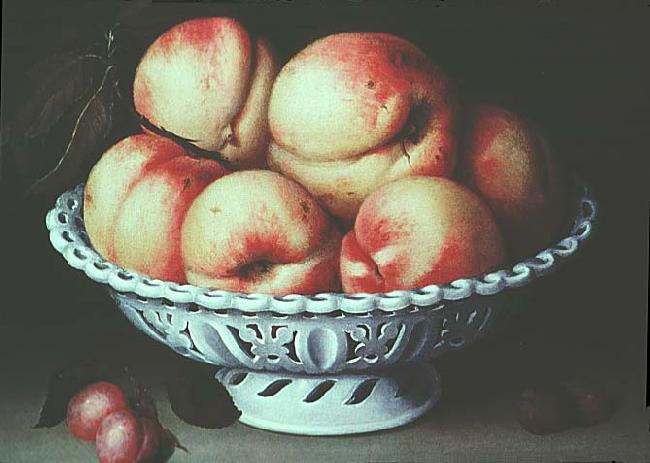Fede Galizia Peaches in a pierced white faience basket oil painting image